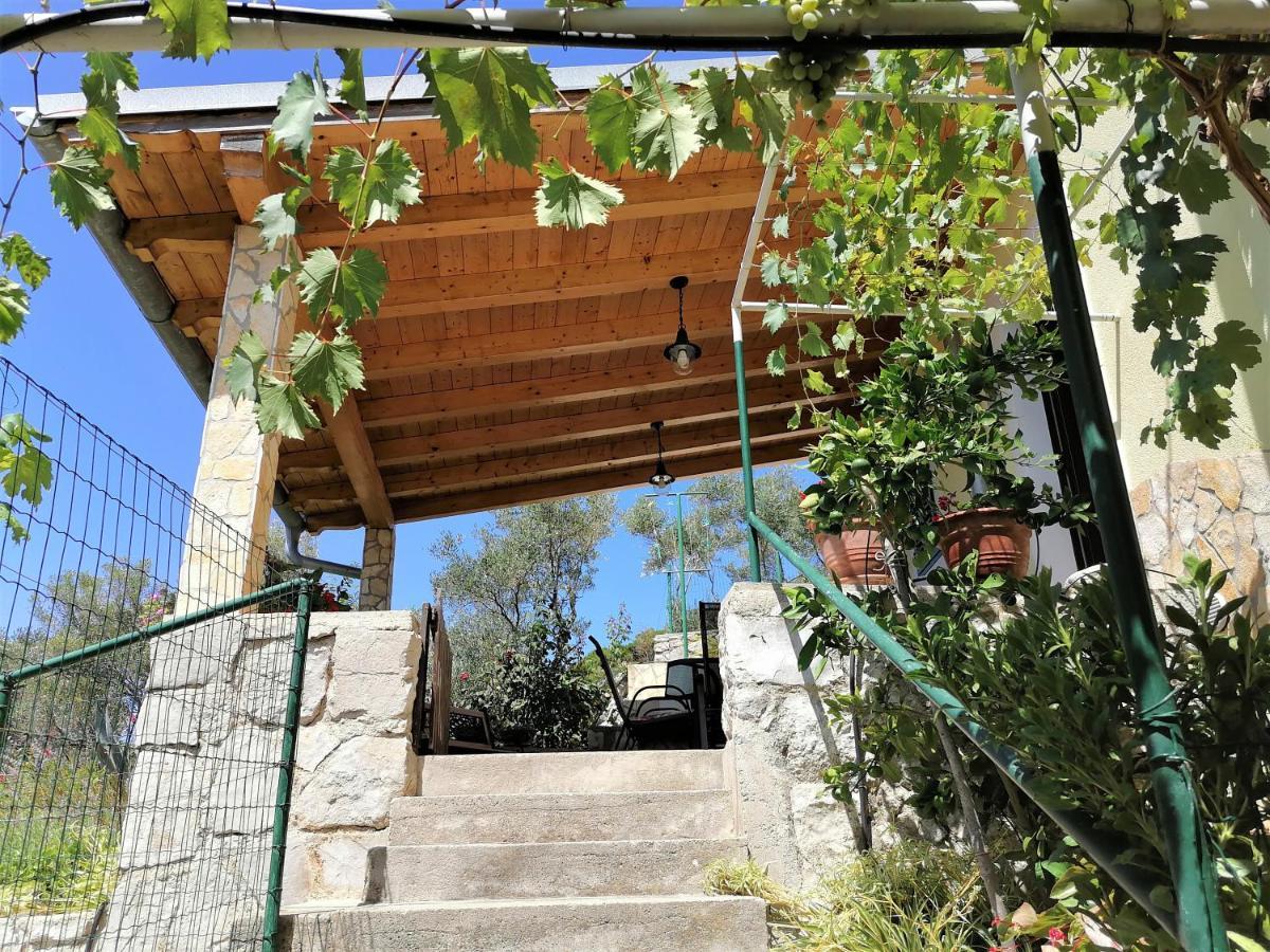 House Klementina
