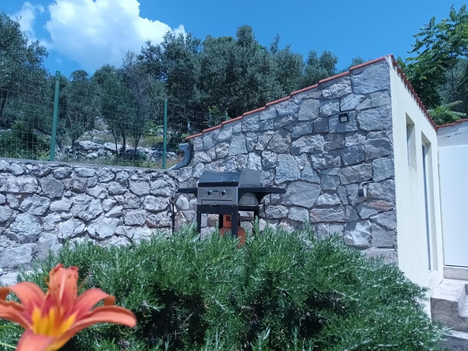 Holiday home House Klementina *